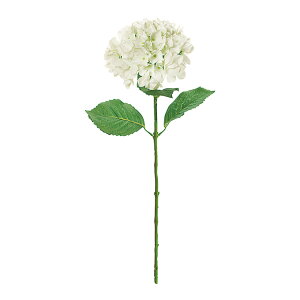 NeBnChWA 1@@WHITE A[eBtBVt[  t[  nChWA [TDLFM000239-001]