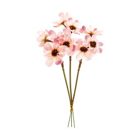 楽天市場 コスモス 花 観葉植物 花 ガーデン Diy の通販