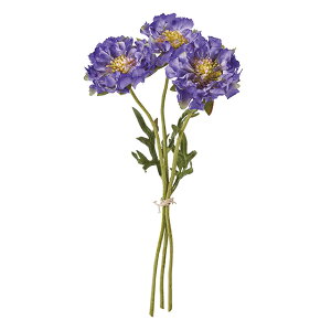 �t�����W�X�J�r�I�T ��10�@BL�^PP �A�[�e�B�t�B�V�����t�����[ ���� �t�����[ �X�J�r�I�T ��ԑ� [TDLFM009378-010]