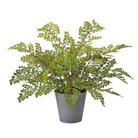 W40×H30cm アジアンタムポット GREEN アーティフィシャルフラワー 造花 インテリアグリーン 観葉樹木 [TDLFZ001491]|人工観葉植物 フェイクグリーン 人工樹木 インテリア おしゃれ 店舗装飾 ディスプレイ 室内装飾 飾り付け 装飾 飾付 飾り 鉢物 開店祝い