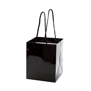 GNZgM 20@ ubN bsO  pbP[W AWobO W [TDLGF000664-020]| Mtg v[g 蕨  񂰑  20×H25×TH48cm 10