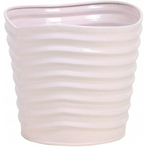 EF[up^[uL|bg_5pP sN Ԋ x[X uL [TDLKA54650D-00P]| t Xܑ CeA fBXvC  |bg 18×16cm