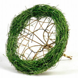 �o�C���x�[�X�@��20 �O���[�� 10���� �Ԋ� �x�[�X [TDLKA602057-00G]