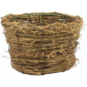 oXPbg 9D5XH6D5 10 Ԋ x[X i`f oXPbg  [TDLKA617200]| t[ Ԏ Ԃ AWgpi t[AWg ԍ y CeA 