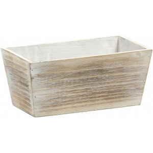 LtؐAeB[NA3p@WT  Ԋ x[X i` [TDLKA738002-00W]