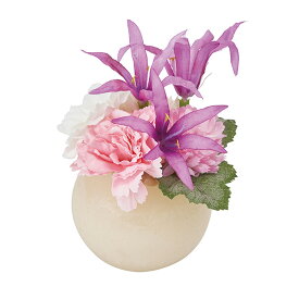 楽天市場 ネリネ 花 観葉植物 花 ガーデン Diy の通販