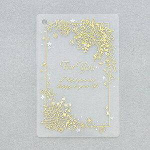 ^OJ[h { bsO  pbP[W J[h V[ [TDLZS00T117]|Xܑ  t fBXvC ^O J[h W5×H7D5cm 20