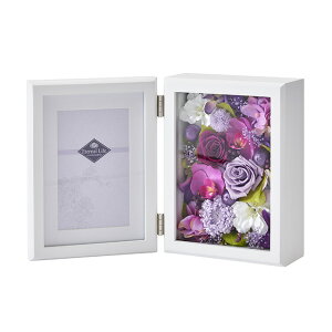 ؊z@i͂Ȃj AWg iLbgEZbg܂ށj vU[uht[ t[lAW  [TDLZY005300]|t[   [Y ΂ KN o tHgt[ 