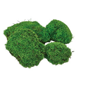 |[X  O[ vU[uht[ 1BOX O[[ t } X [TDLVD000132-085] AWgԍ VRf nhCh CeAO[ K[fjO