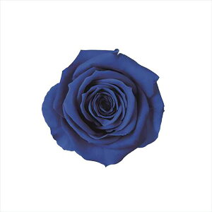 Xv[[Y Ou[ vU[uht[ 8֓ [Y o [TDLFL000070-012] KN AWgԍ VRf nhCh AWgp[c a t[Mtg A