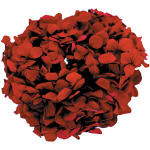 AfXAWTC C vU[uht[ [TDLFL000291-010] 20g z AWgԍ VRf nhCh AWgp[c RrAY ~J t[AW