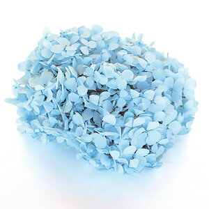 AfXAWTC pE_|u[ vU[uht[ [TDLFL000291-013] 20g z AWgԍ VRf nhCh AWgp[c Tut[ RrAY t