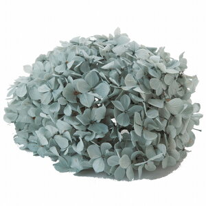 AfXAWTC ~XgO[ vU[uht[ [TDLFL000291-042] 20g z AWgԍ VRf nhCh AWgp[c RrAY Tut[ ~J