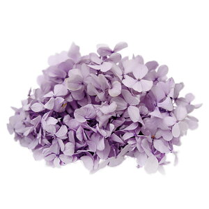 AfXAWTC \tgCbN vU[uht[ [TDLFL000291-043] AWTC z AWgԍ VRf nhCh AWgp[c RrAY Tut[