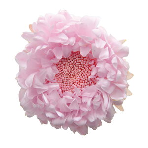 AX^[ xCr[sN vU[uht[ [TDLFL000440-007] 6֓ } v[g   AWgt[ lHϗtA t[Mtg K[fjOpi vU[uhH  