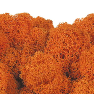 mfBbNX IW vU[uht[ X[ TDLFL000820-820] AWgԍ VRf nhCh K[fjOpi CeA }bg