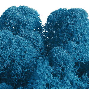 mfBbNX ANA} vU[uht[ X [TDLFL000820-920] AWgԍ VRf nhCh CeAO[ tFCNO[