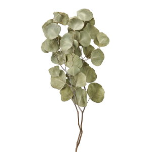 |vX hCV[g i`hCt[ i` [TDLDE017302] v[g   hCt[ lHϗtA tFCNO[ K[fjOpi VRf  K[fjO