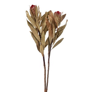 veA r i`hCt[ i` [TDLDE017773] v[g   hCt[ lHϗtA K[fjOpi tFCNO[  K[fjO CeAO[