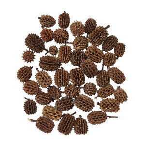 JXi i`hCt[ 1  [TDLDE030204] v[g   hCt[ lHϗtA K[fjOpi AWg  K[fjO fBXvC