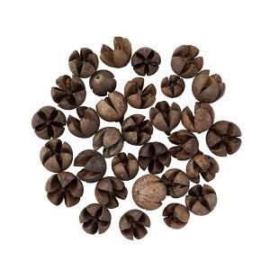 b`|bh i`hCt[ 1  [TDLDE030280] v[g   hCt[ lHϗtA K[fjOpi VRf ԍ  K[fjO fBXvC