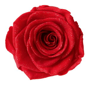 _Ch[Y uCg bh vU[uht[ 3֓ o [TDLDD001107-030] KN v[g   AWgt[ lHϗtA K[fjOpi vU[uhH  