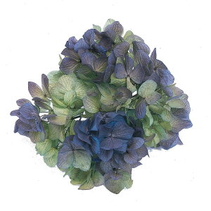 \tg x_[ O[ vU[uht[ [TDLDT064142] 1BOX2֓ AWTC zԁ@AWgԍ VRf nhCh Tut[