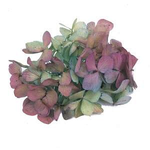 \tg  {h[O[ vU[uht[ [TDLDT064143] 1BOX2֓ AWTC zԁ@AWgԍ VRf nhChށ@Tut[