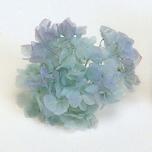 \tg  u[ vU[uht[ [TDLDT064193] 1BOX2 ֓AWTC K[fjOpi v[g  CeAt[  K[fjO t[ Mtgpi