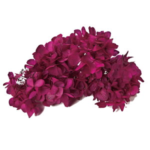 \tg r[eB[ vU[uht[ [TDLDT064261] 2֓AWTC v[g  vU[uhAW K[fjOpi t[AWg CeAt[ Mt