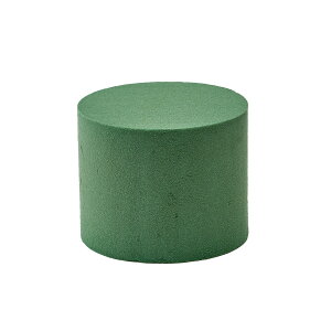 ANAV_[No.6 ԃtH[ANZT[ 12R t[ [TDLGM103176] AWgԍ nhCh AW tH[