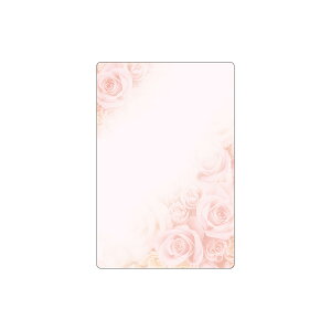 KPDJ[h J[h 20 CNWFbg [U[v^Ή  [TDLZS00KP23] p\Rv^[Ή [ pi