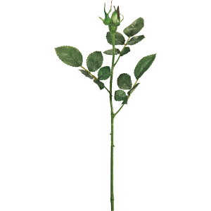 vXe[Y S O[ vU[uht[ [TDLFG010937] 1 AWgԍ nhCh tFCNO[ lHϗtA CeAO[ fBXvC