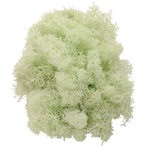 tBhX pE_[O[ vU[uht[ [TDLFD004556-023] 125g X VRf nhCh tFCNO[ 