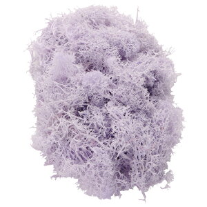 tBhX \tgCbN vU[uht[ [TDLFD004556-051] 125g X K[fjOpi RP IuWF VRf nhCh