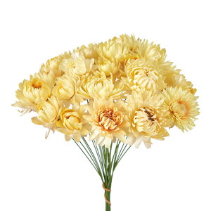 �������e ���C���[�t �N���[�� �h���C�t�����[ �i�`������ [TDLFD003021-037] �A�����W�����g�ԍ� �V�R�f�� �n���h���C�h���� �t�����[�f�� �C���e���A�t�����[