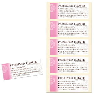 vU[uhV[ vU[uht[ 50 [TDLZS000036] V[ XebJ[ [ pi