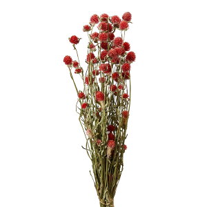 g Xgx[ hCt[ bh i` [TDLFD003041] v[g   lHϗtA K[fjOpi t[AWg  K[fjO t[Mtg