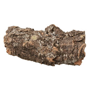 RN fBXvC  i`f x[X i [TDLDC000040] v[g  AWg IuWFEu ԍ K[fjOpi VRf  K[fjO CeA K[f