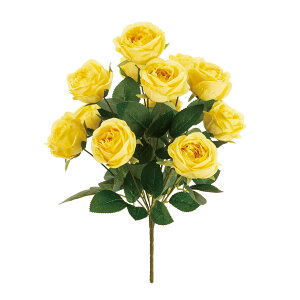 VA[YubV CG[ A[eBtBVt[  [Y o [TDLFM001617-004] KN AWgԍ nhCh CeAt[ ԑ t[Mtg ubV