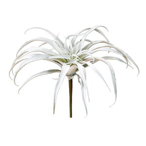 tbLAeBWA Vo[zCg A[eBtBVO[  A GAvc [TDLFG300917-001] AWgԍ nhCh CeAO[ fBXvC 