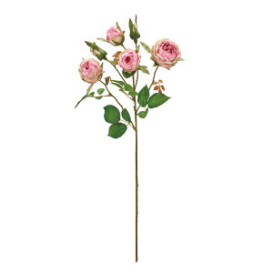 [Yeg zbgsN A[eBtBVt[  [Y o [TDLFM008315-052] KN AWgԍ nhCh CeAt[ ԑ t[AWg o