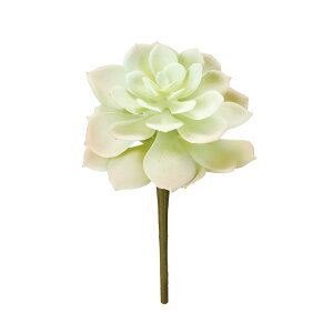 VA[GPxA zCgO[ A[eBtBVO[  A[ TDLFG300936-022] AWgԍ nhCh CeAO[ fBXvC