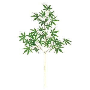 R݂ A[eBtBVO[  ݂ gt [TDLFG001895] v[g  tFCNO[ lHϗtA K[fjOpi  K[fjO CeA |GXe