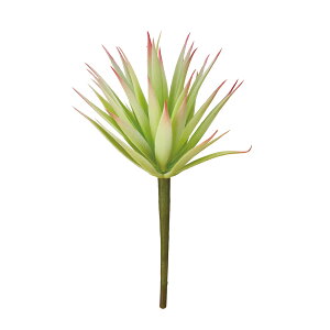 AKxWG zCgO[ sN A[eBtBVO[  A [TDLFG300934-022] AWgԍ nhCh fBXvC ReCO a_