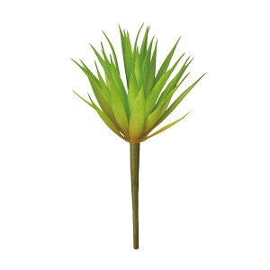 AKxWG CgO[ A[eBtBVO[  A [TDLFG300934-023] AWgԍ nhCh CeAO[ fBXvC ReCO ~jTCY