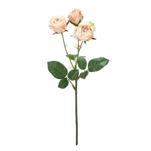 v}fB[Y s[` A[eBtBVt[  [Y o GVJTXeiu [TDLFM300292-006] KN AWgԍ nhCh CeAt[ ԑ t[