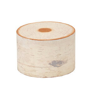 c[X^v CeAx[X u fR[Vf [TDLXU003122] AWgԍ nhCh fBXvC o[W X^hԊ CeAԊ Ԋv[g