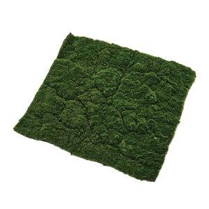 X}bg XNGA A[eBtBVO[  }bgV[g [TDLFG003616] AWgԍ VRf nhCh X