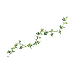 h[ACr[ K[h zCgO[ A[eBtBVO[  ACr[ [TDLFG301090] v[g  tFCNO[ lHϗtA K[fjOpi t[AW